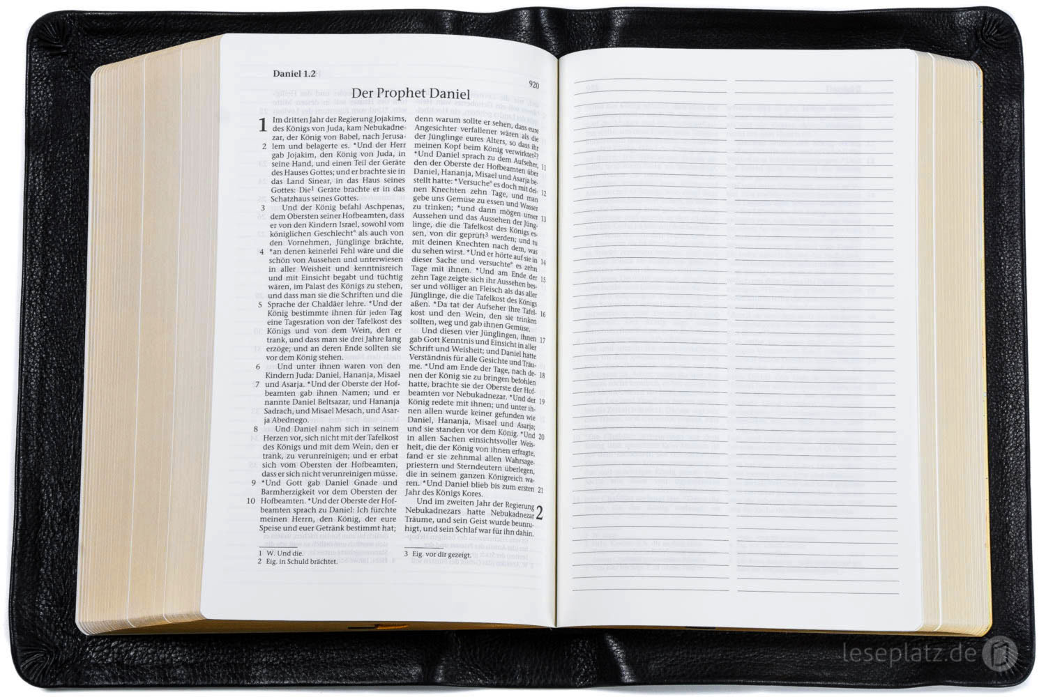 257153-7 Elberfelder 2003 - Standardausgabe mit Notizseiten / Leder schwarz / Goldschnitt
