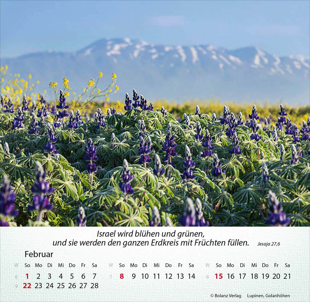 Israel Shalom 2026 - Tischkalender