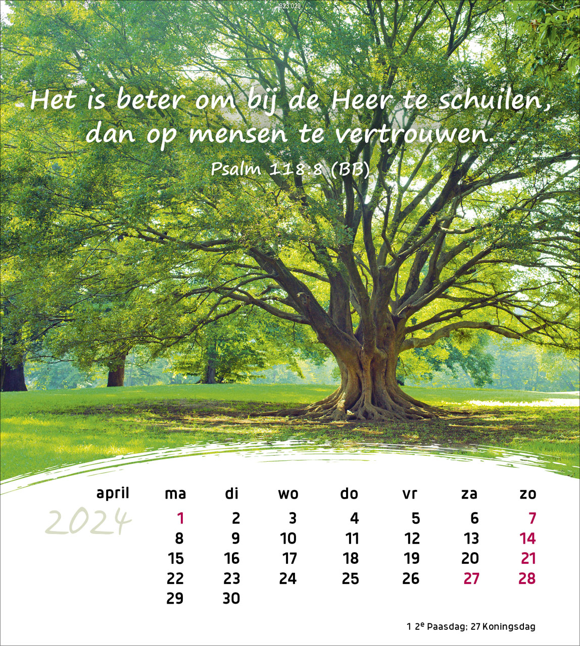 Leben für Dich 2024 - Postkartenkalender Leben für Dich 2024 - Postkartenkalender