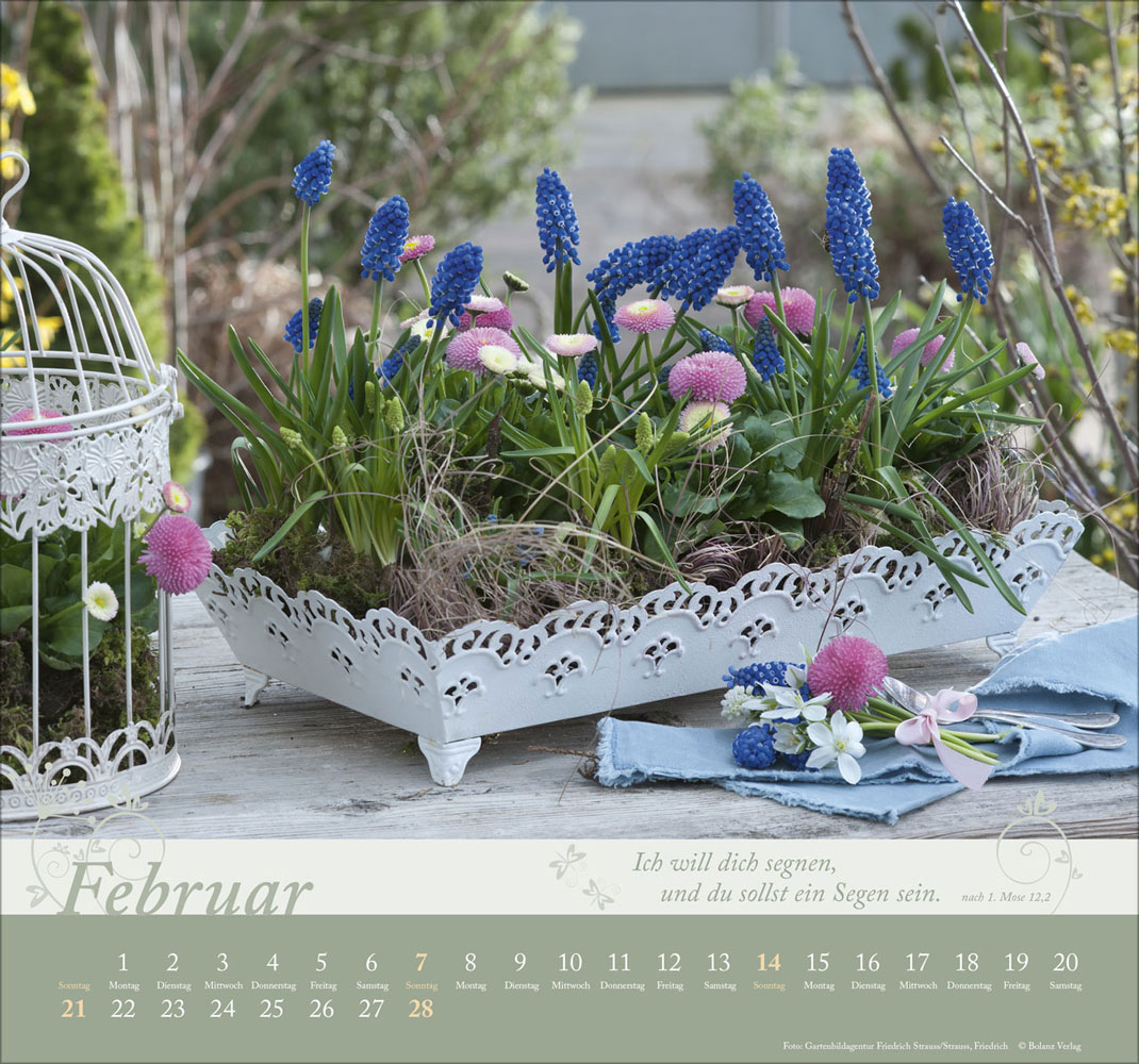 Im Garten zuhause 2027 - Wandkalender