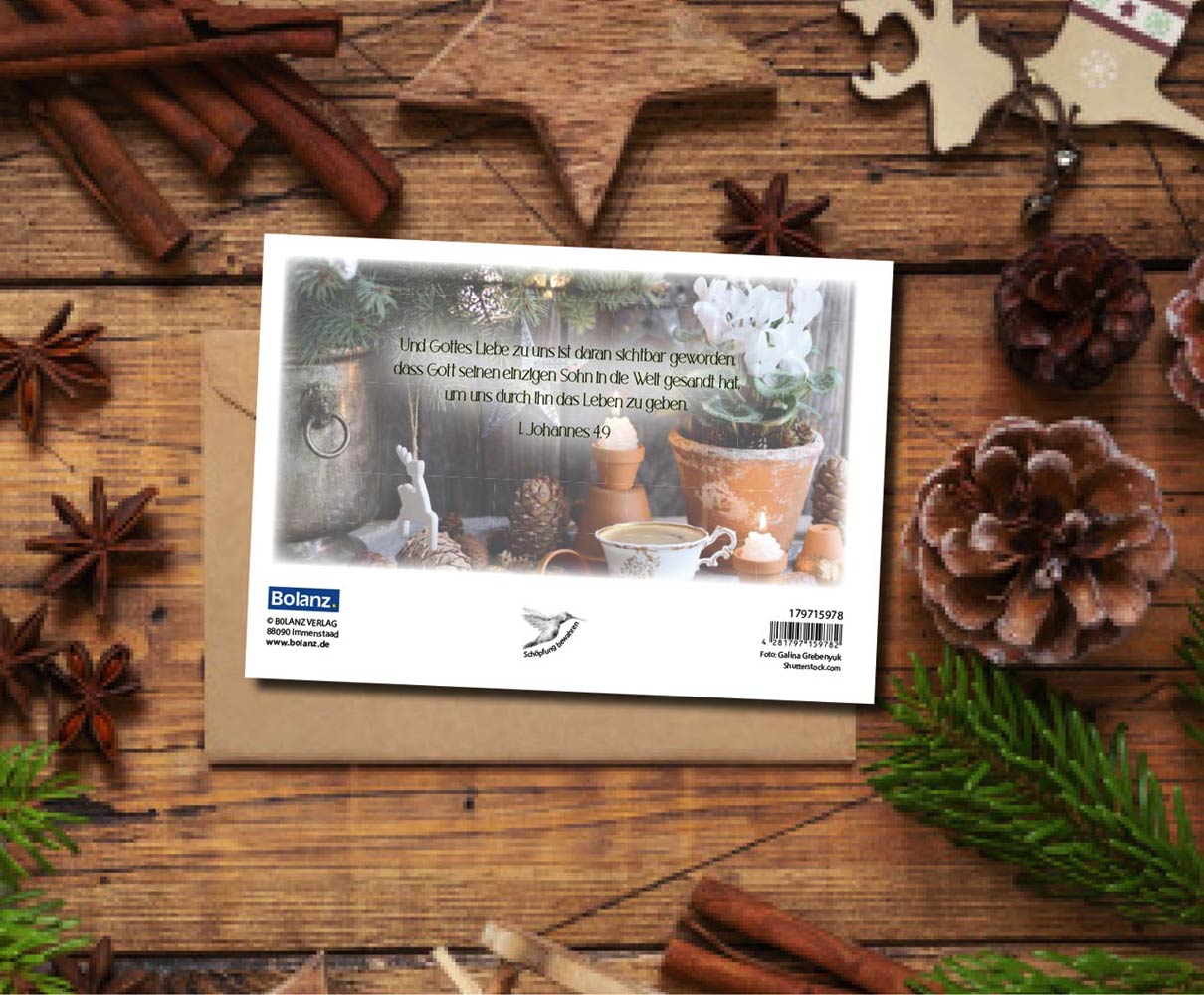 Faltkarte "Gesegnete Weihnachtszeit" (Tannenzapfen)