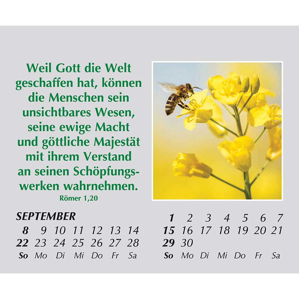 Freude für jeden Tag 2024 Freude für jeden Tag 2024