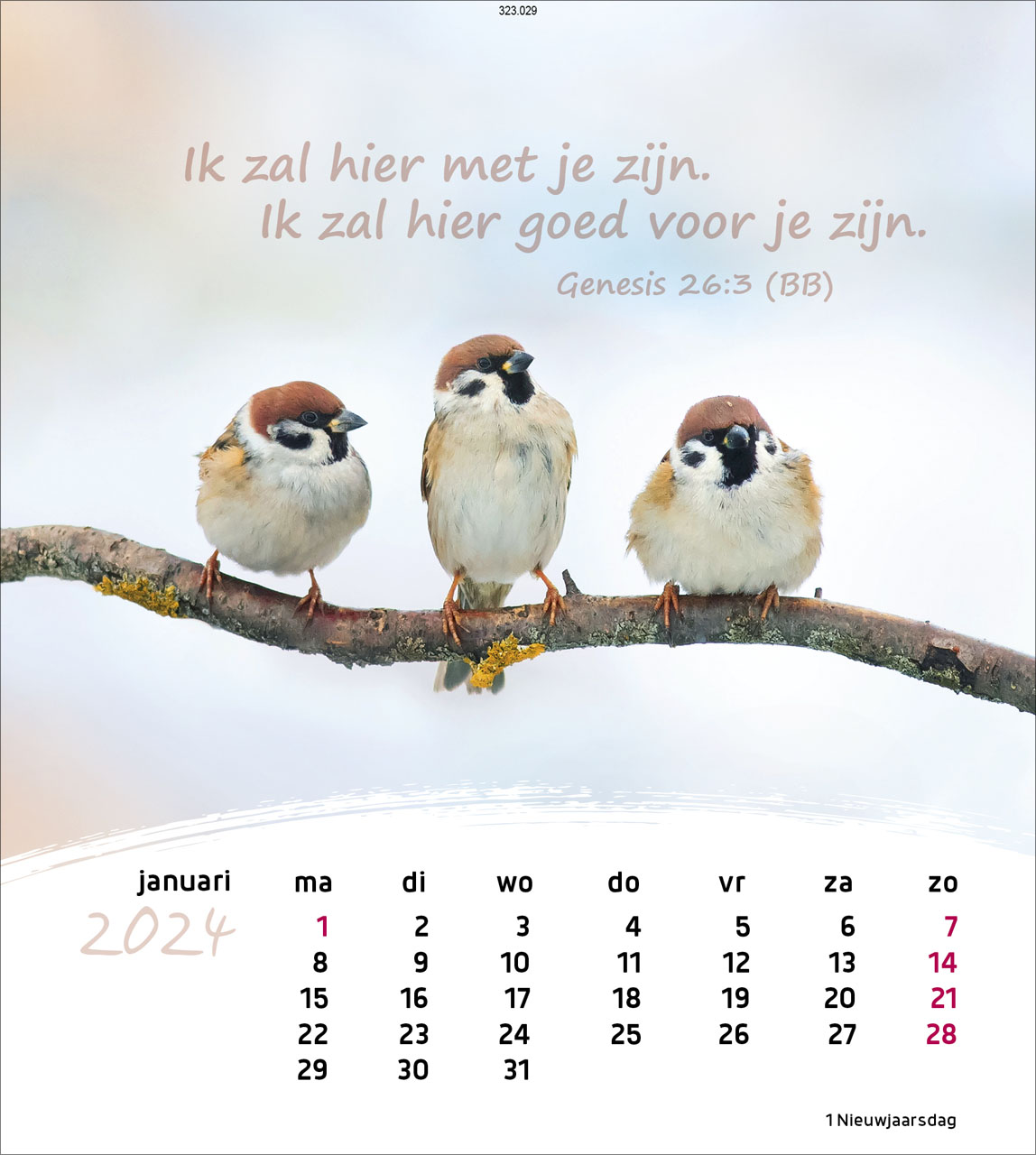 Leben für Dich 2024 - Postkartenkalender Leben für Dich 2024 - Postkartenkalender