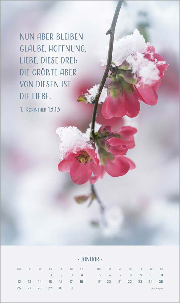 Zarte Blumengrüße 2026 - Wandkalender