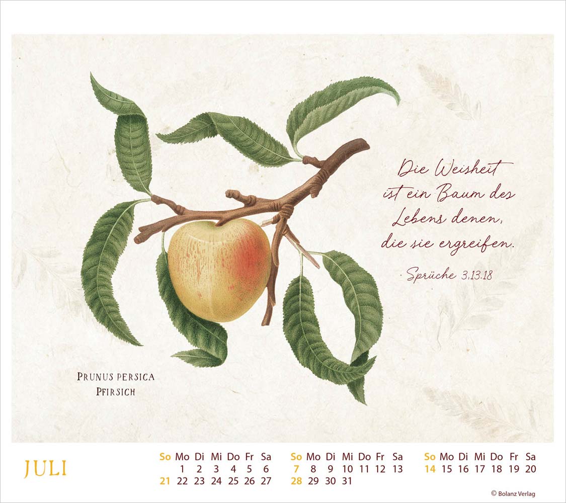 MeisterWerke des Schöpfers 2024 - Tischkalender MeisterWerke des Schöpfers 2024 - Tischkalender