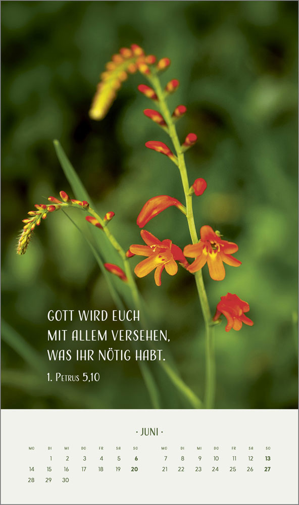 Zarte Blumengrüße 2027 - Wandkalender