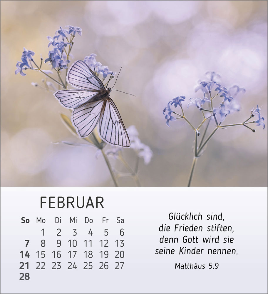 Stille Begegnungen 2027