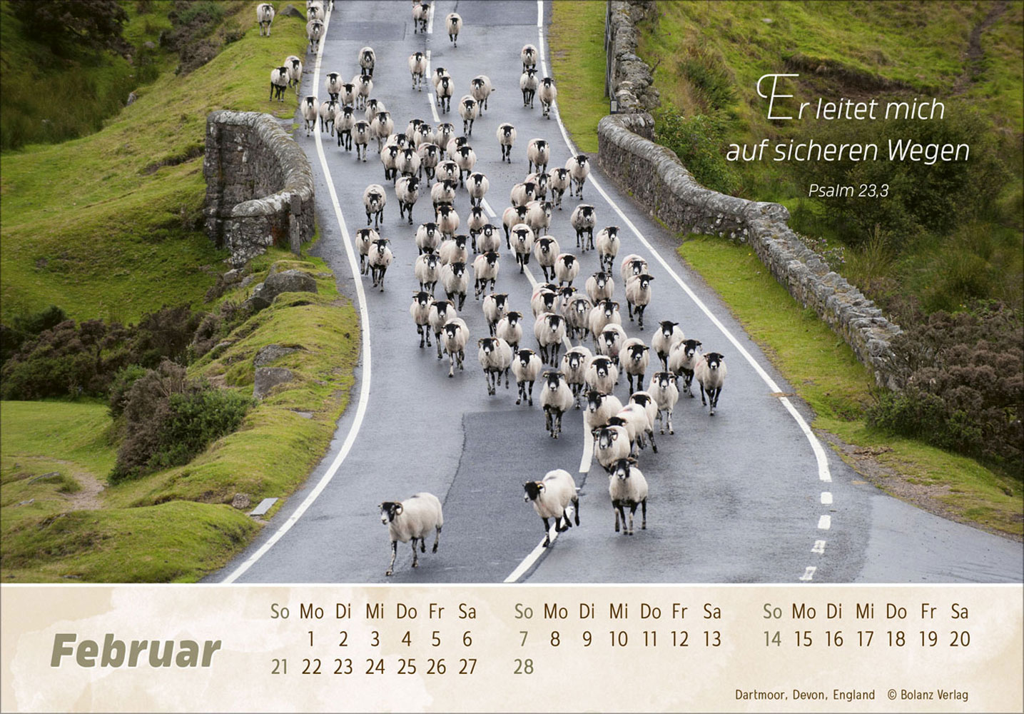 Der Gute Hirte 2027 - Postkartenkalender