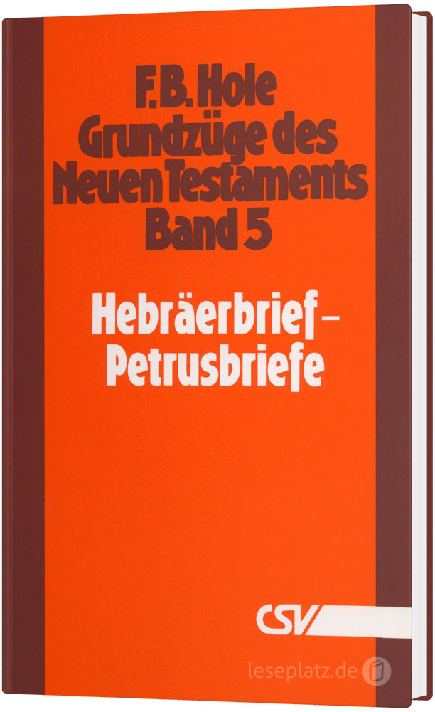 Grundzüge des Neuen Testaments - Band 5