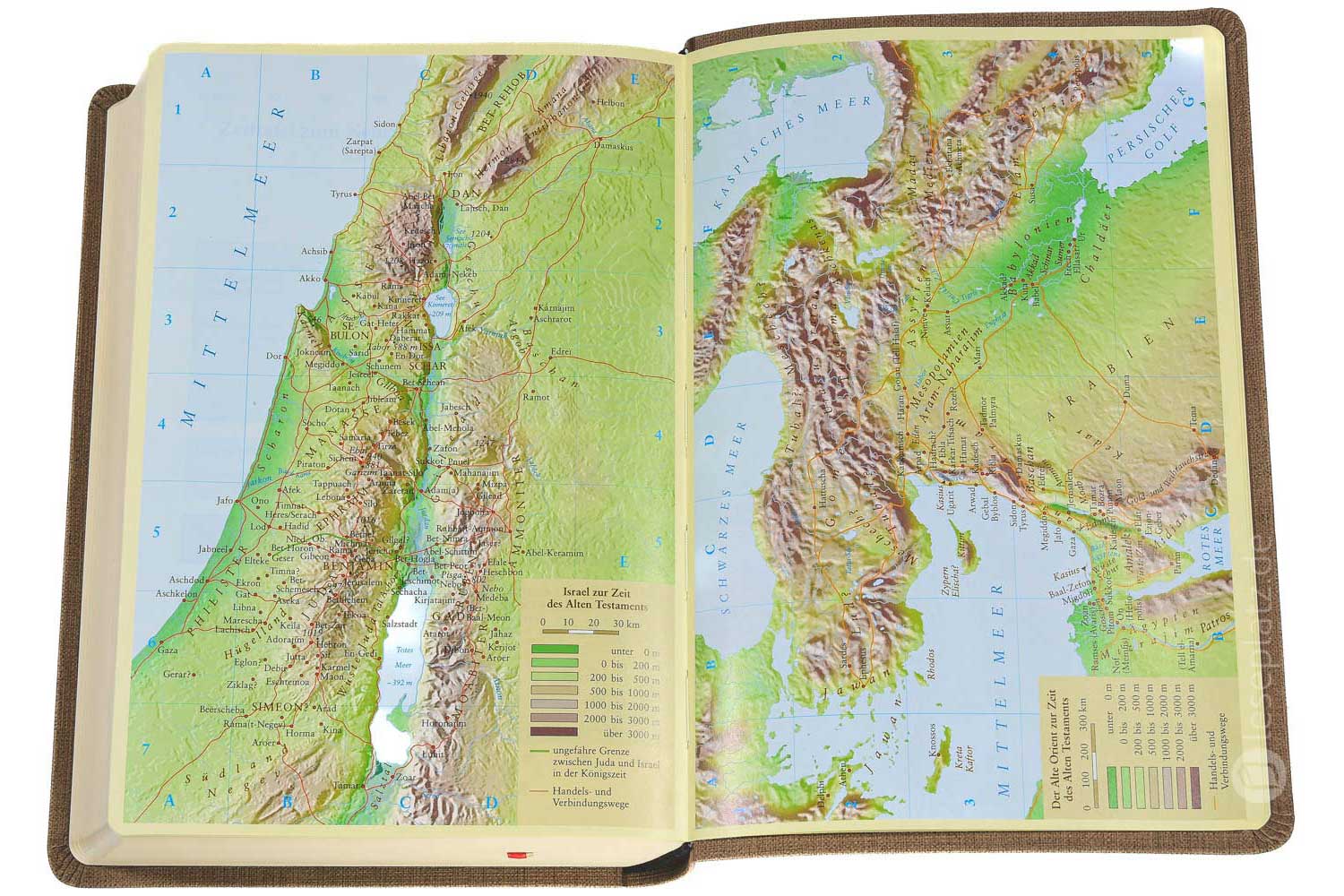 Elberfelder Bibel 2006 Standardausgabe - Kunstleder braun