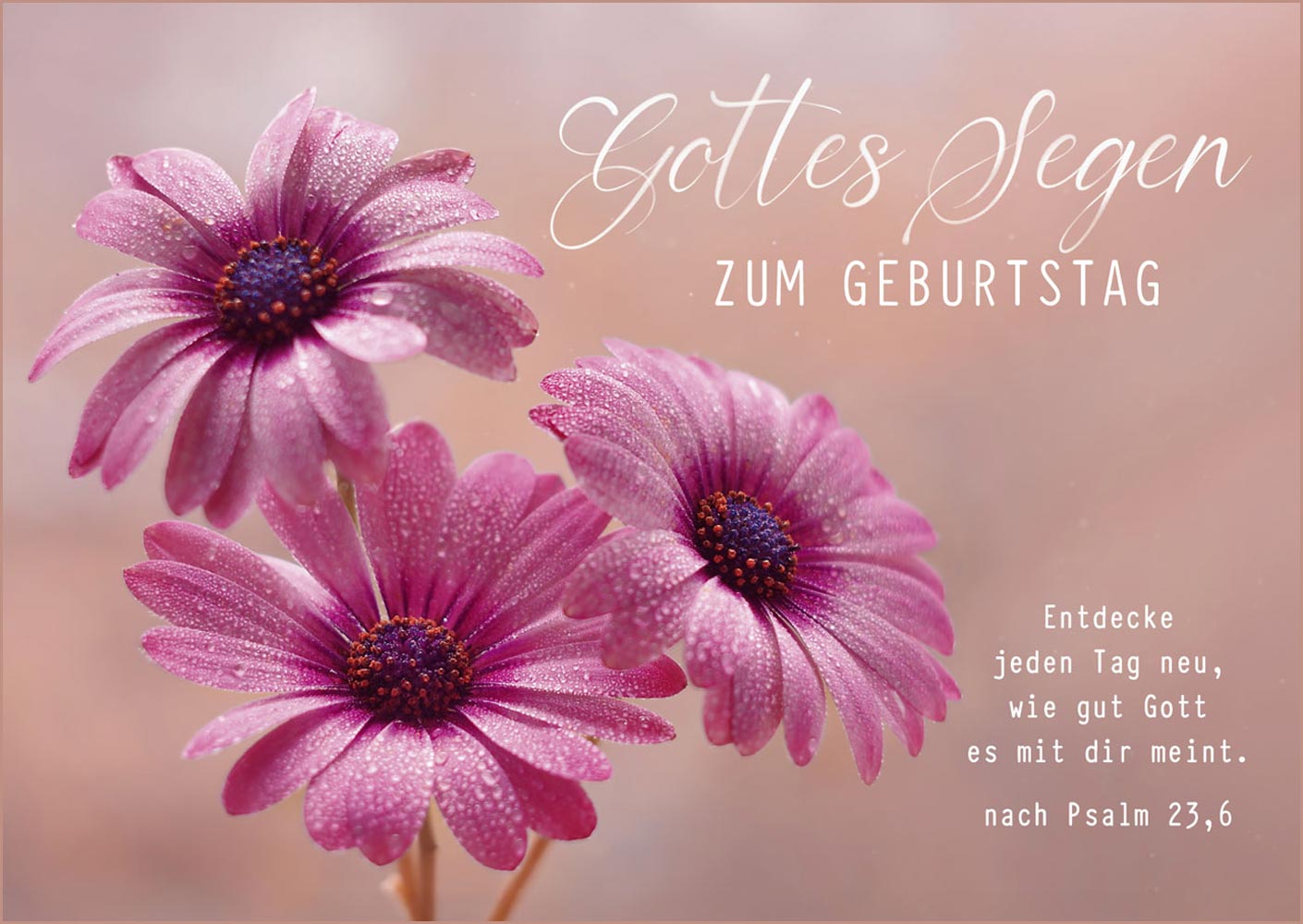 Postkarte "Gottes Segen"