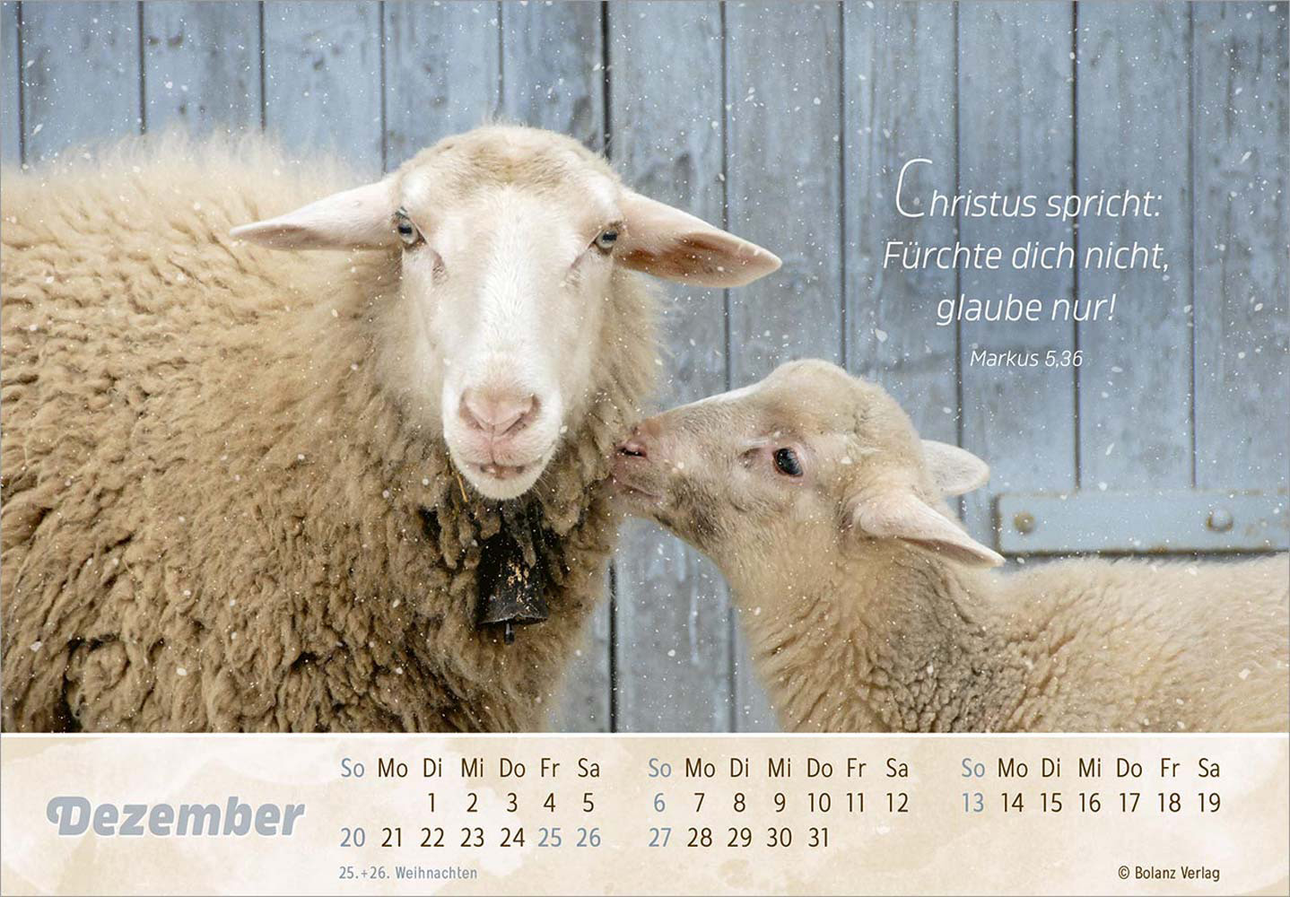 Der Gute Hirte 2026 - Postkartenkalender