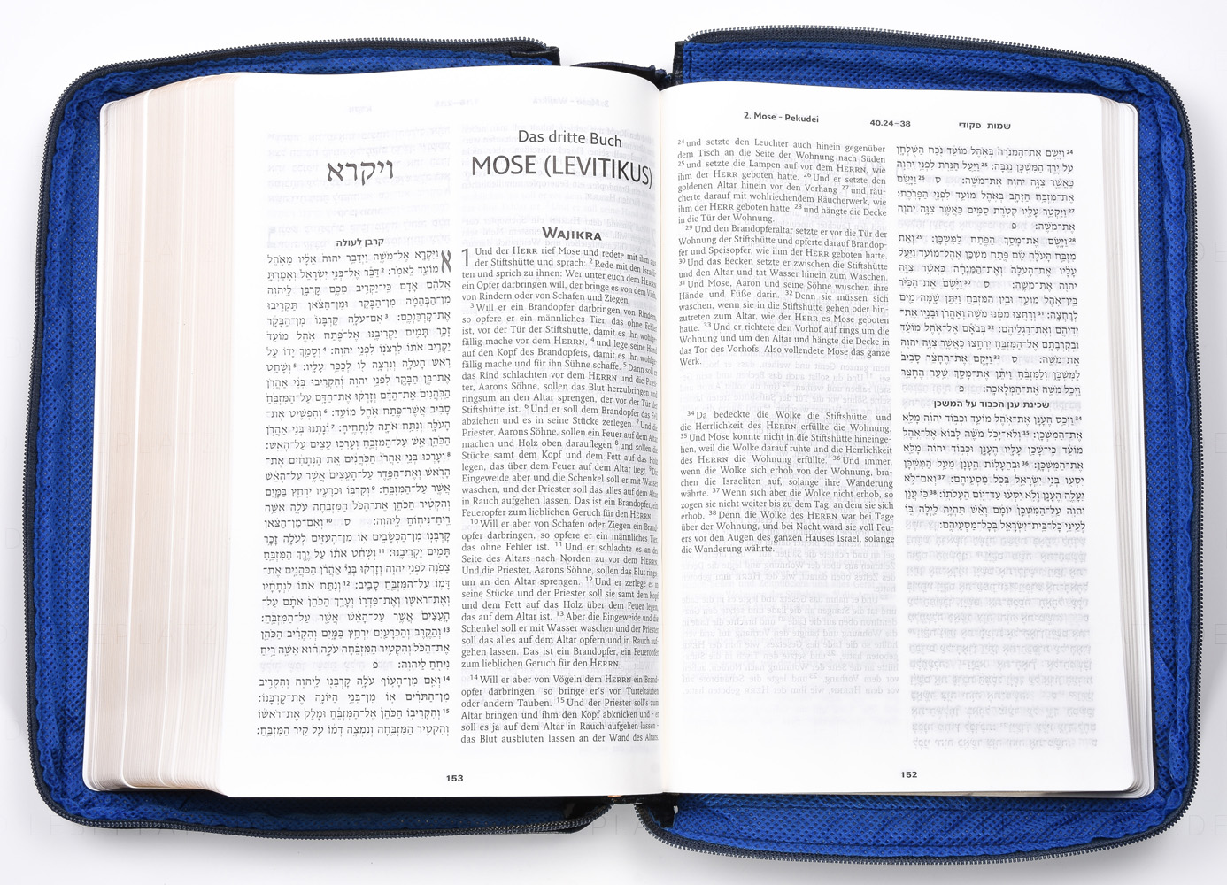 Die Bibel - Hebräisch-Deutsch (Leder / Goldschnitt / Reißverschluss)