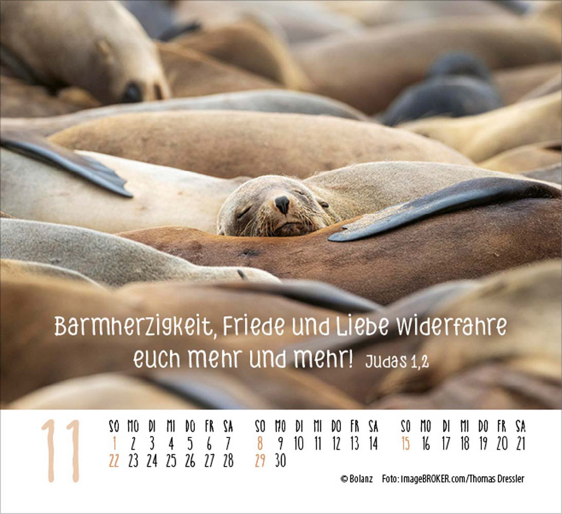 Begegnungen 2026 - Minikalender