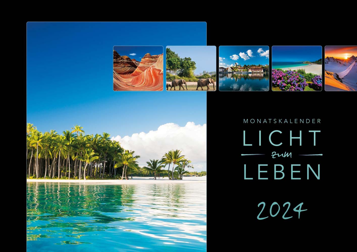 Licht zum Leben 2024