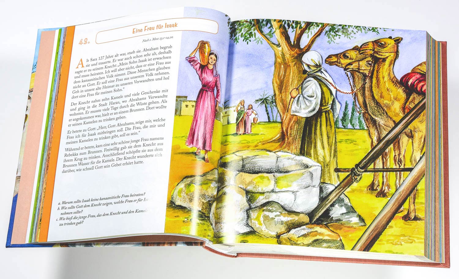 Entdecke die Bibel - Gesamtausgabe Entdecke die Bibel - Gesamtausgabe