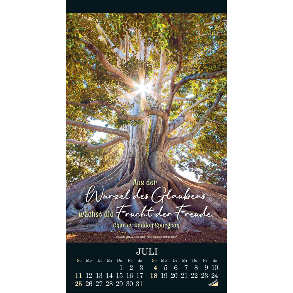 Die Wunder deiner Werke 2027 - Wandkalender