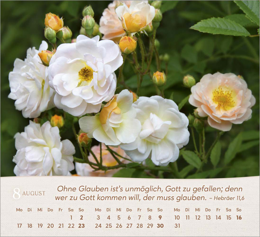Rosen 2026 - Tischkalender