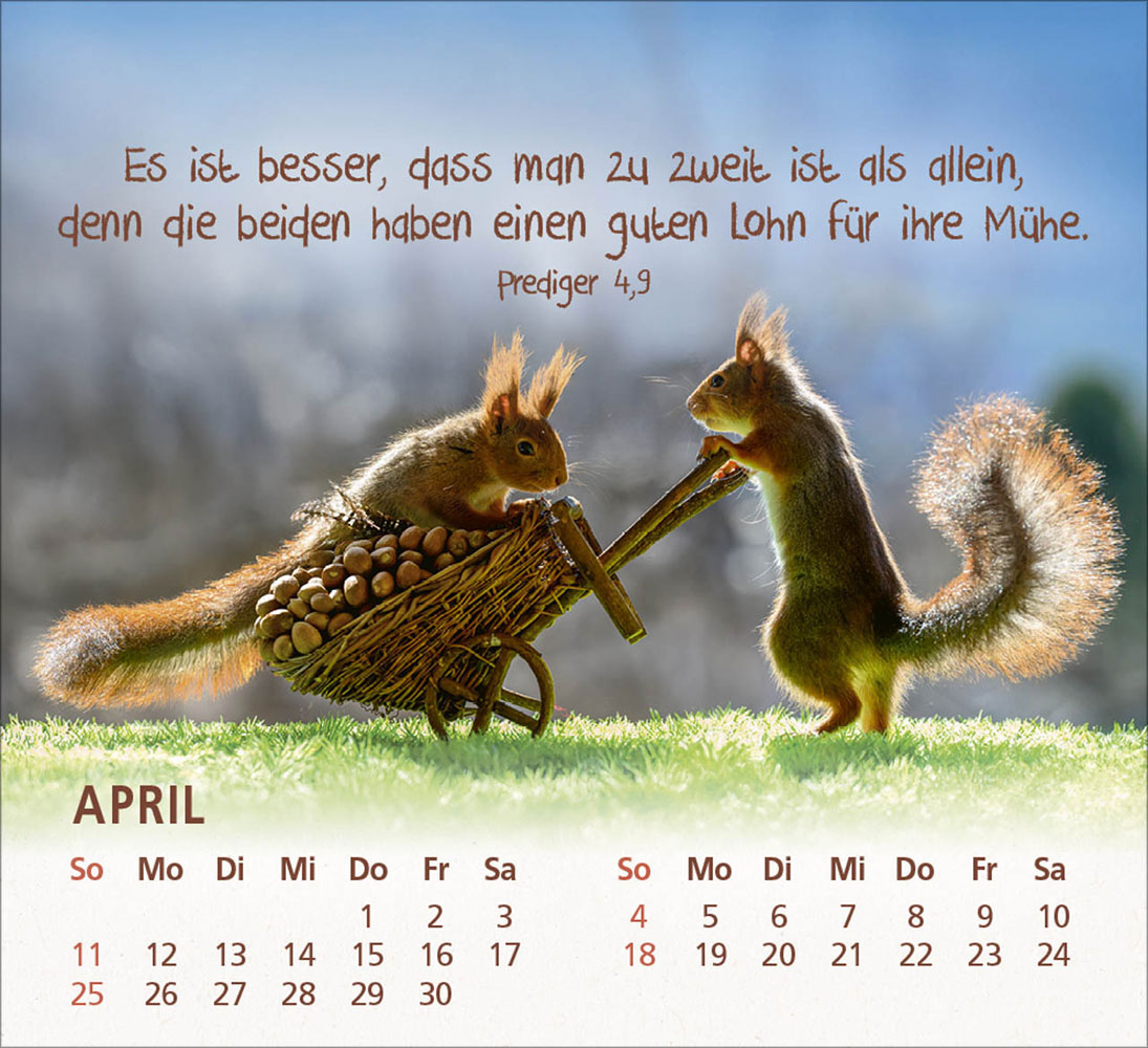 Du bist meine Freude 2027