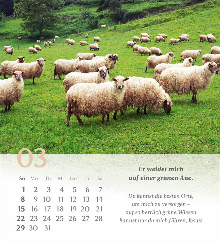 Psalm 23 - Tischkalender 2026
