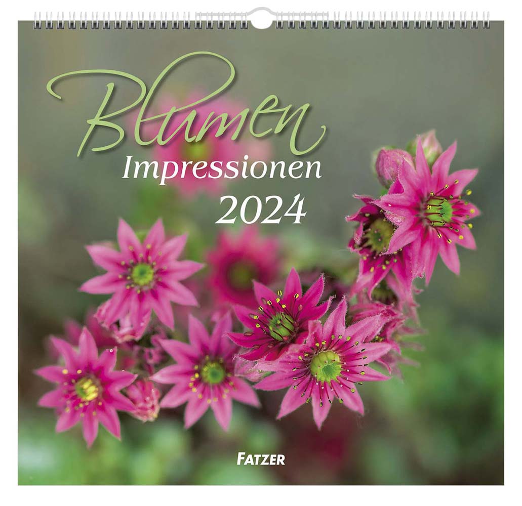 Impressionen Blumen 2024