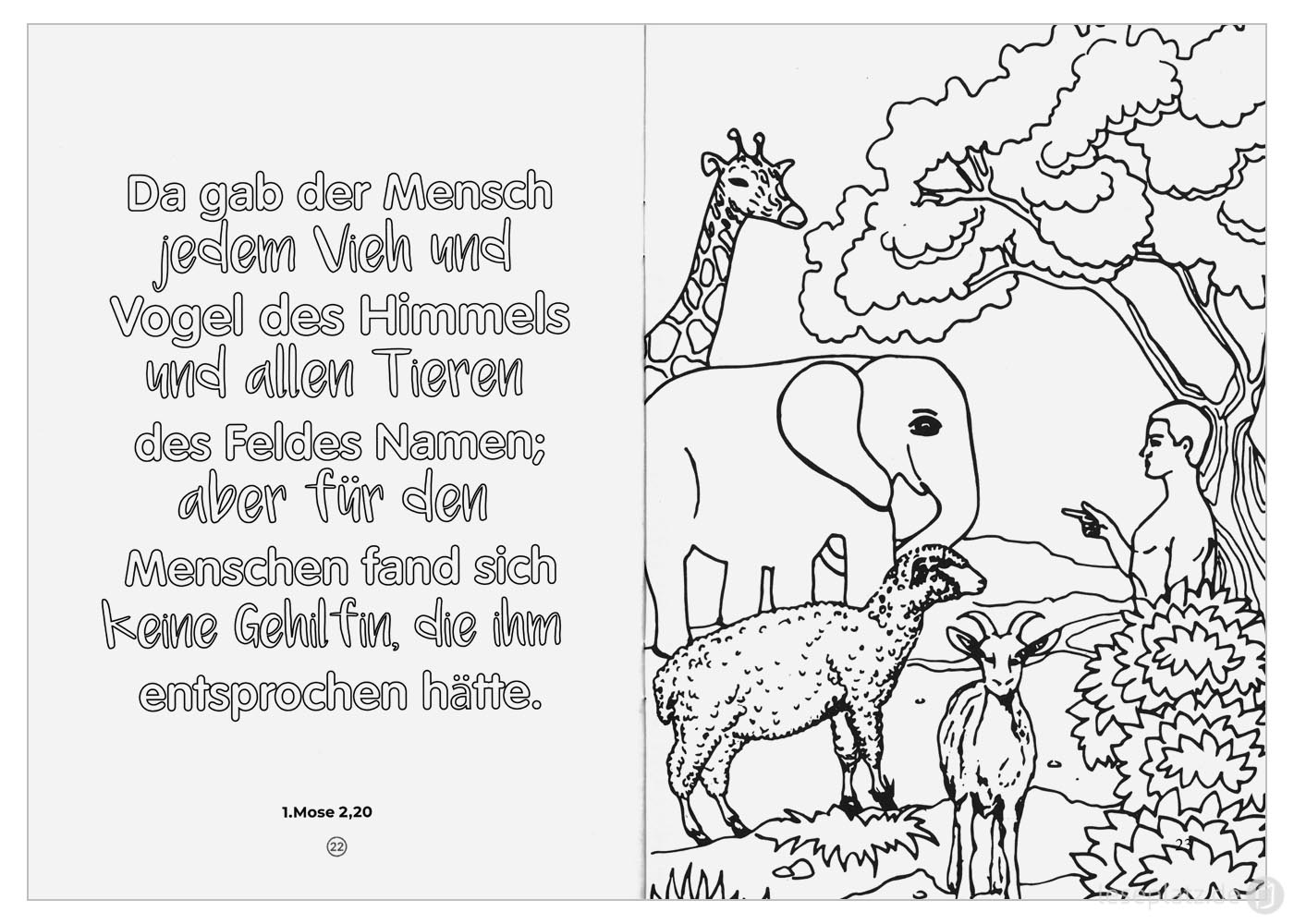 Malheft "Schöpfung"