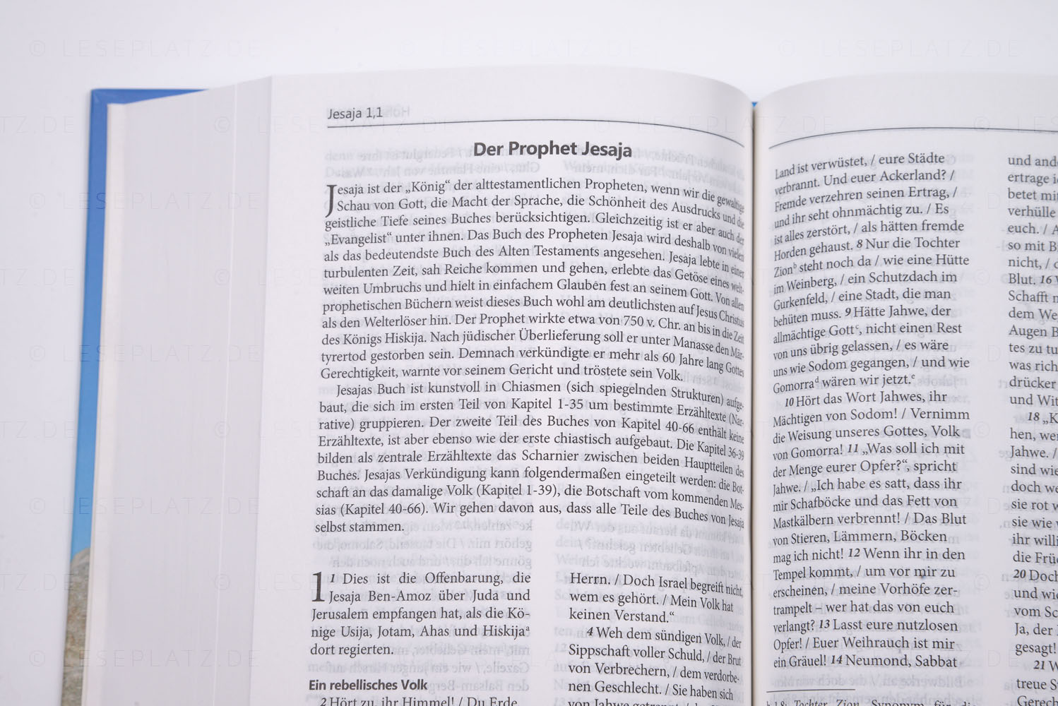 271315_08 NeÜ - Taschenausgabe "Motiv Leuchtturm"
