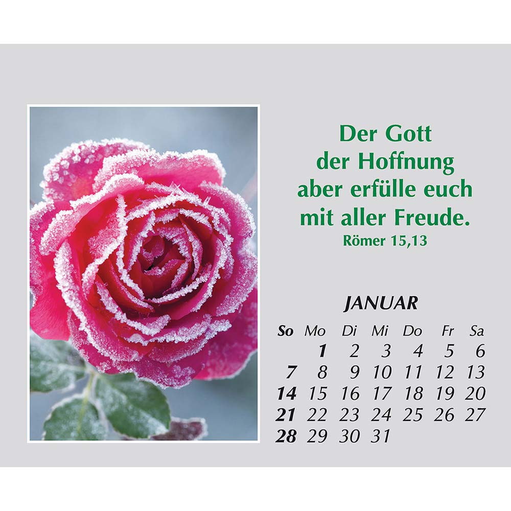 Freude für jeden Tag 2024 Freude für jeden Tag 2024
