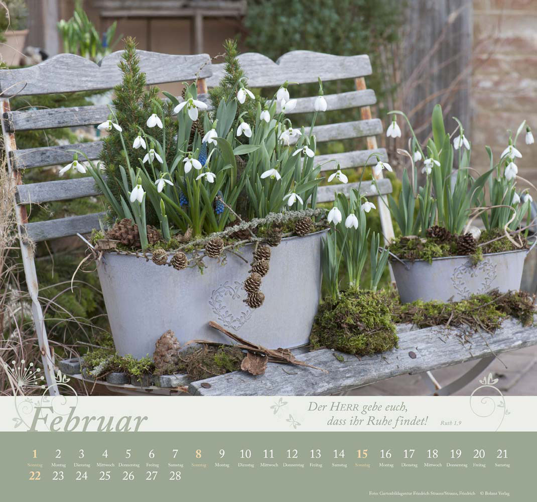 Im Garten zuhause 2026 - Wandkalender