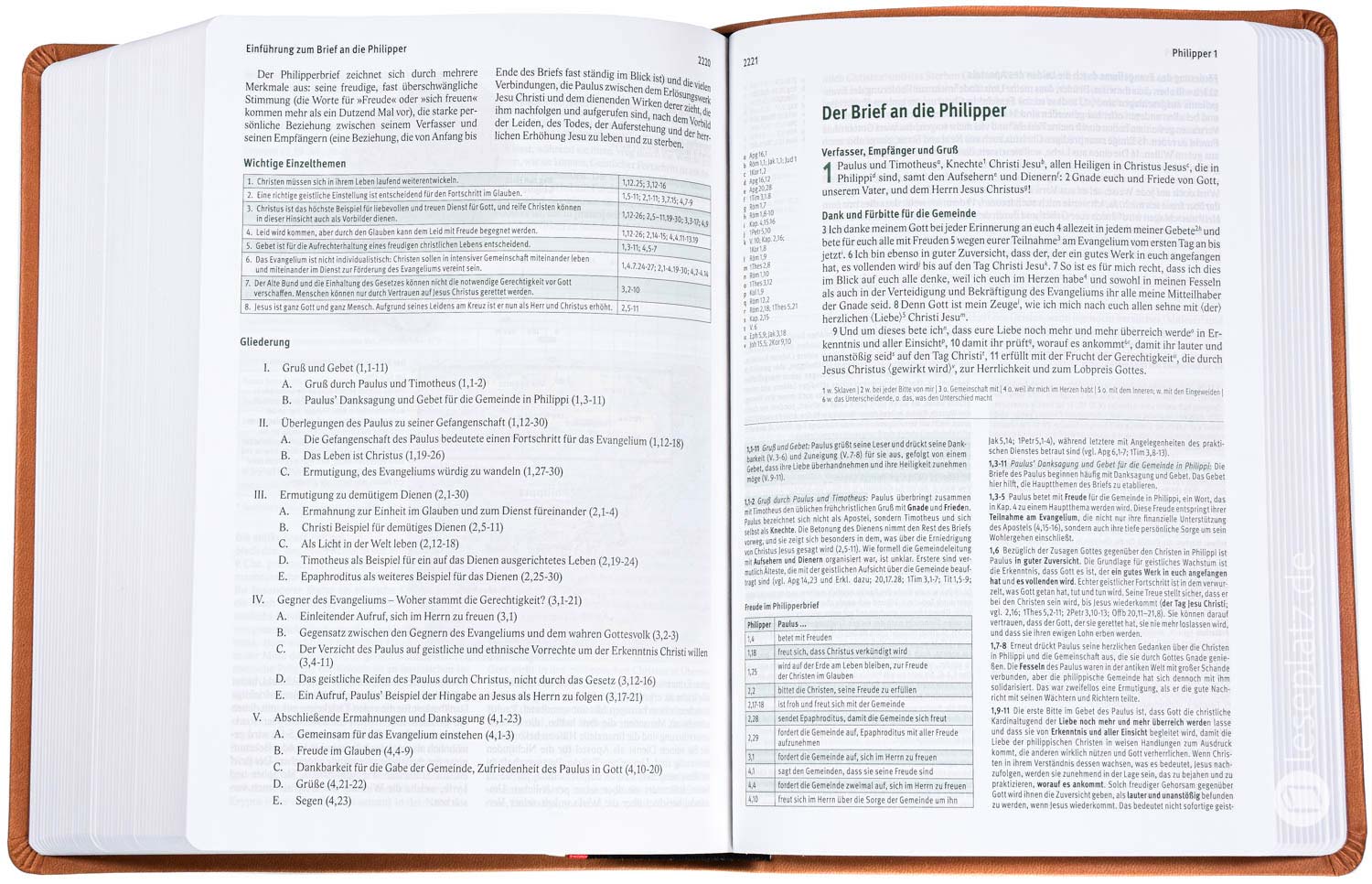 Elberfelder Bibel 2006 Studienausgabe - Kunstleder braun