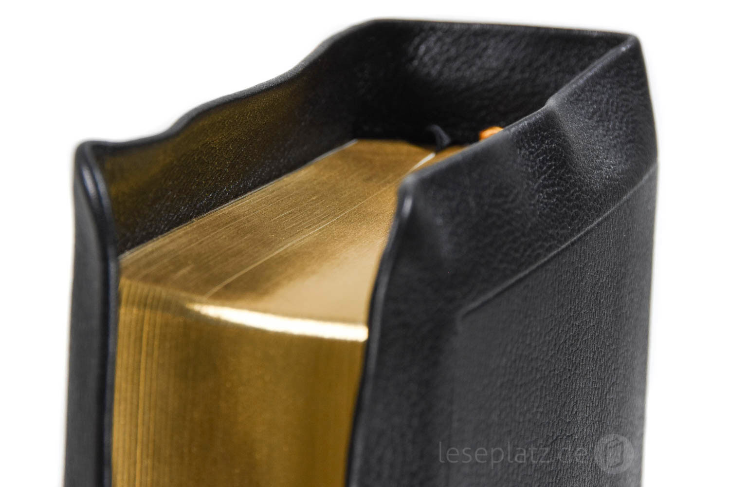 257153-3 Elberfelder 2003 - Standardausgabe mit Notizseiten / Leder schwarz / Goldschnitt