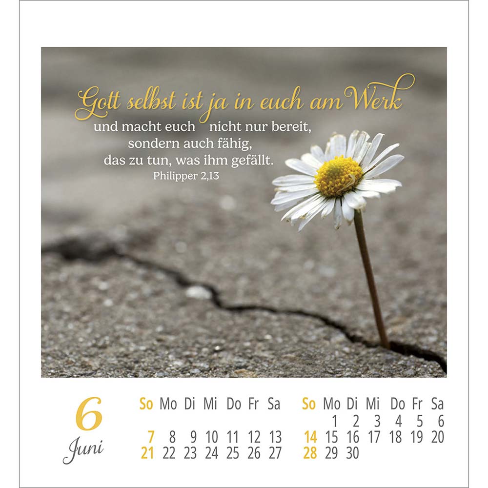 Lieblingsworte umgeben dich 2026 - Aufkleber-Kalender