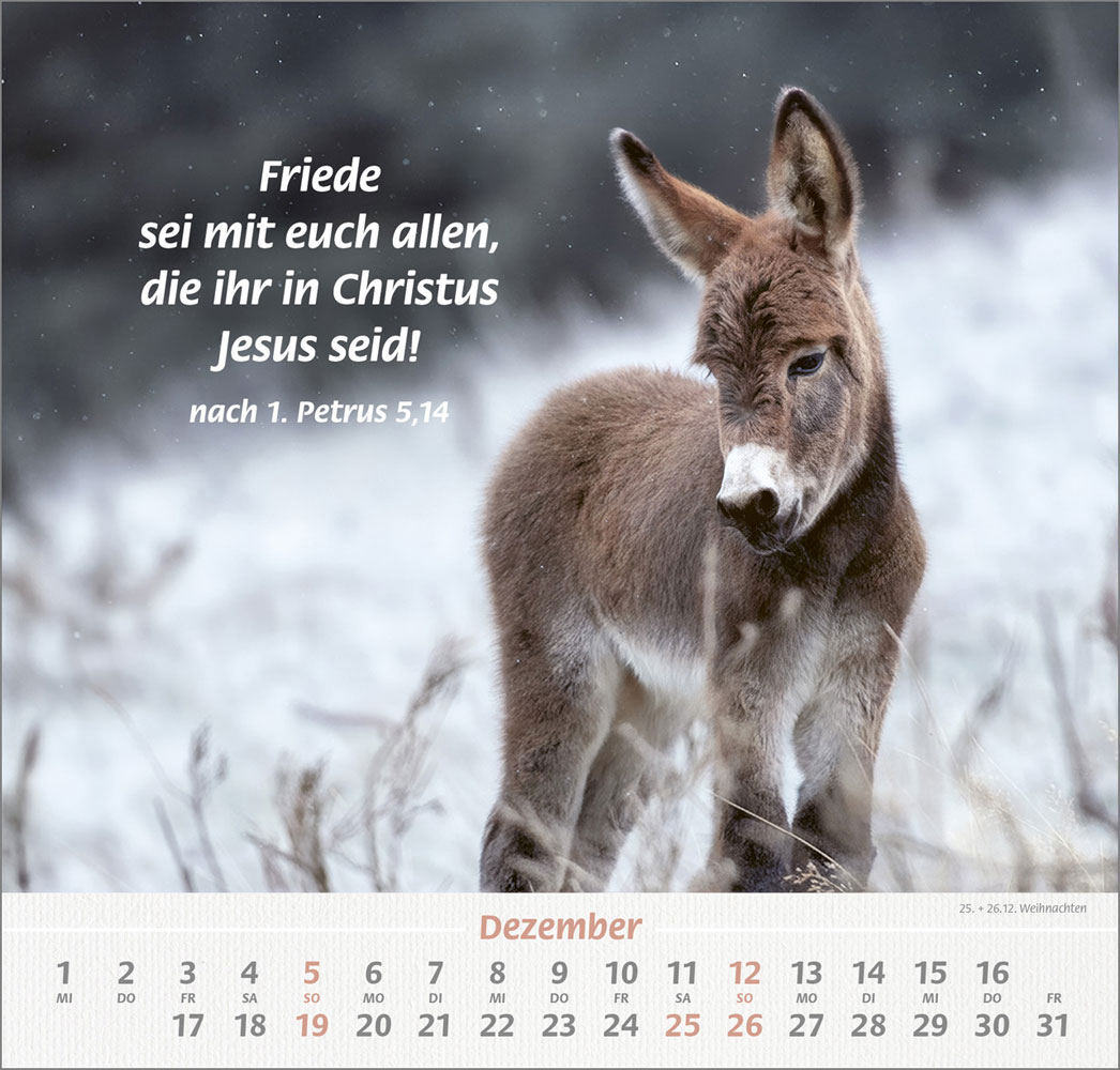 Ich hab dich gern 2027 - Wandkalender
