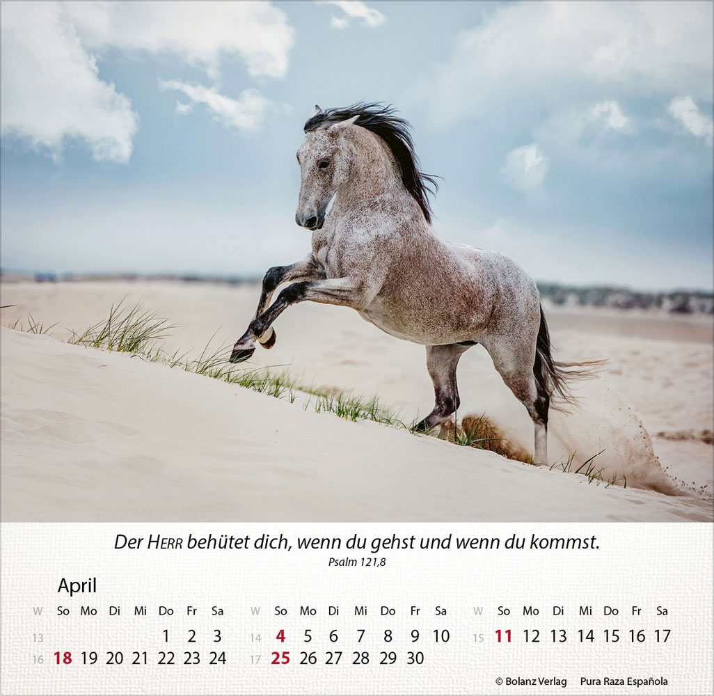 Pferde 2027 - Tischkalender