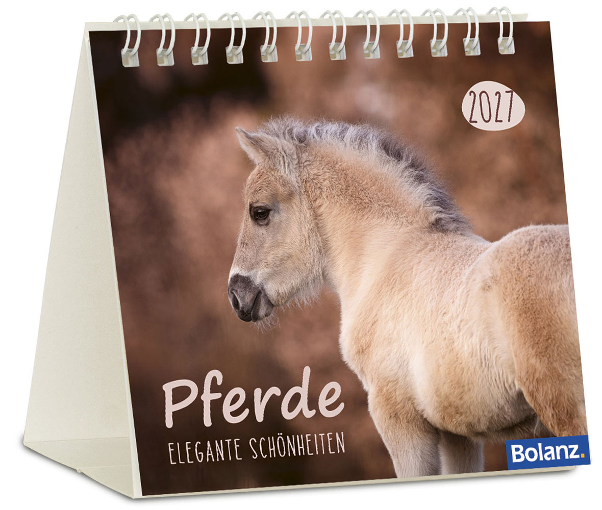 Pferde 2027 - Minikalender