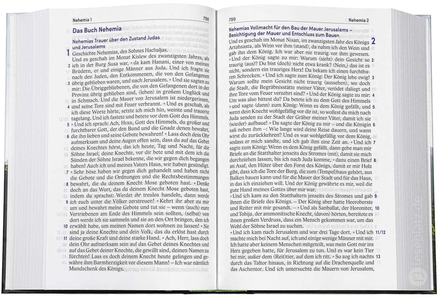 Elberfelder Bibel 2006 in großer Schrift - Hardcover / Motiv "Baum"