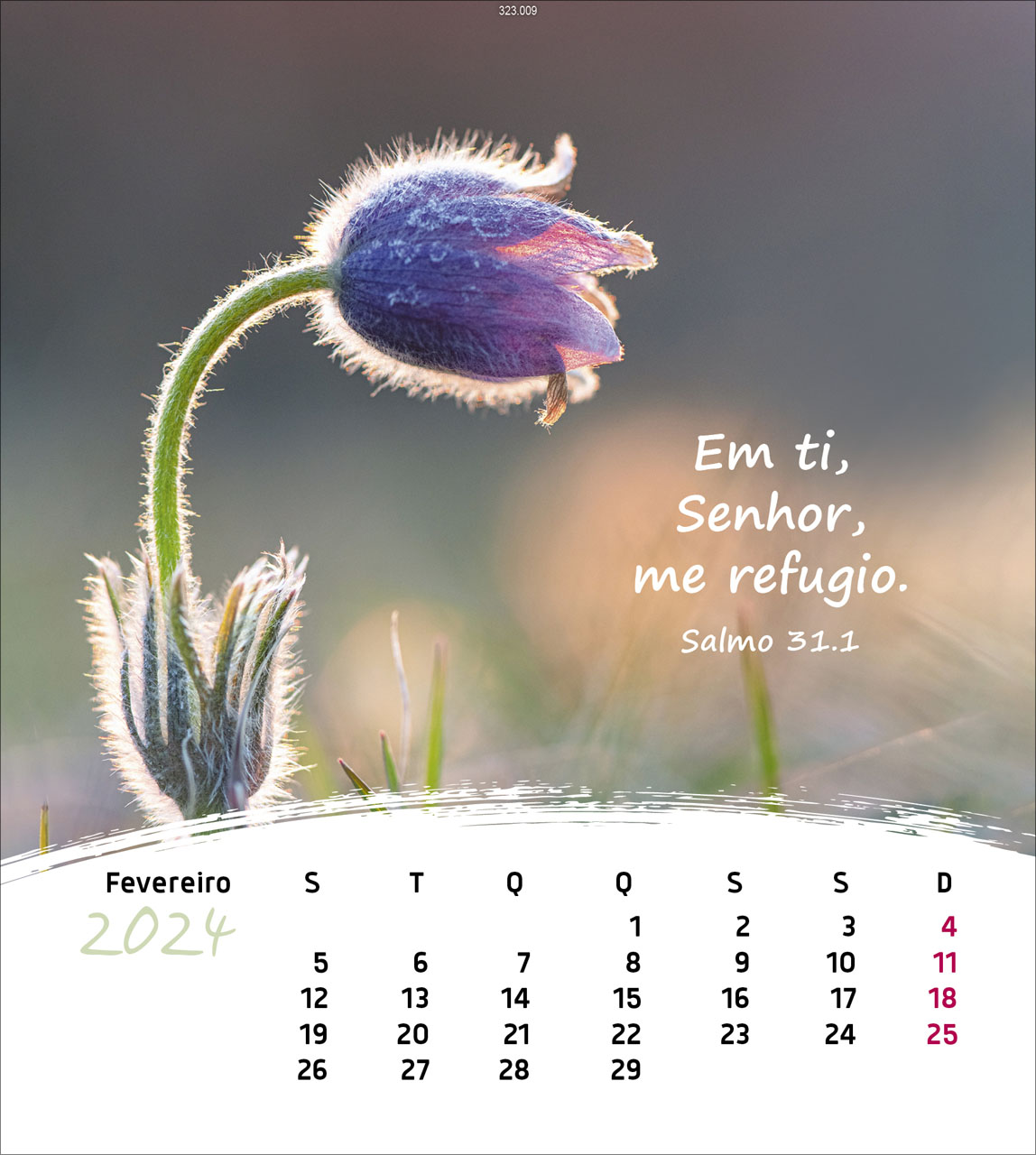 Leben für Dich 2024 - Postkartenkalender Leben für Dich 2024 - Postkartenkalender