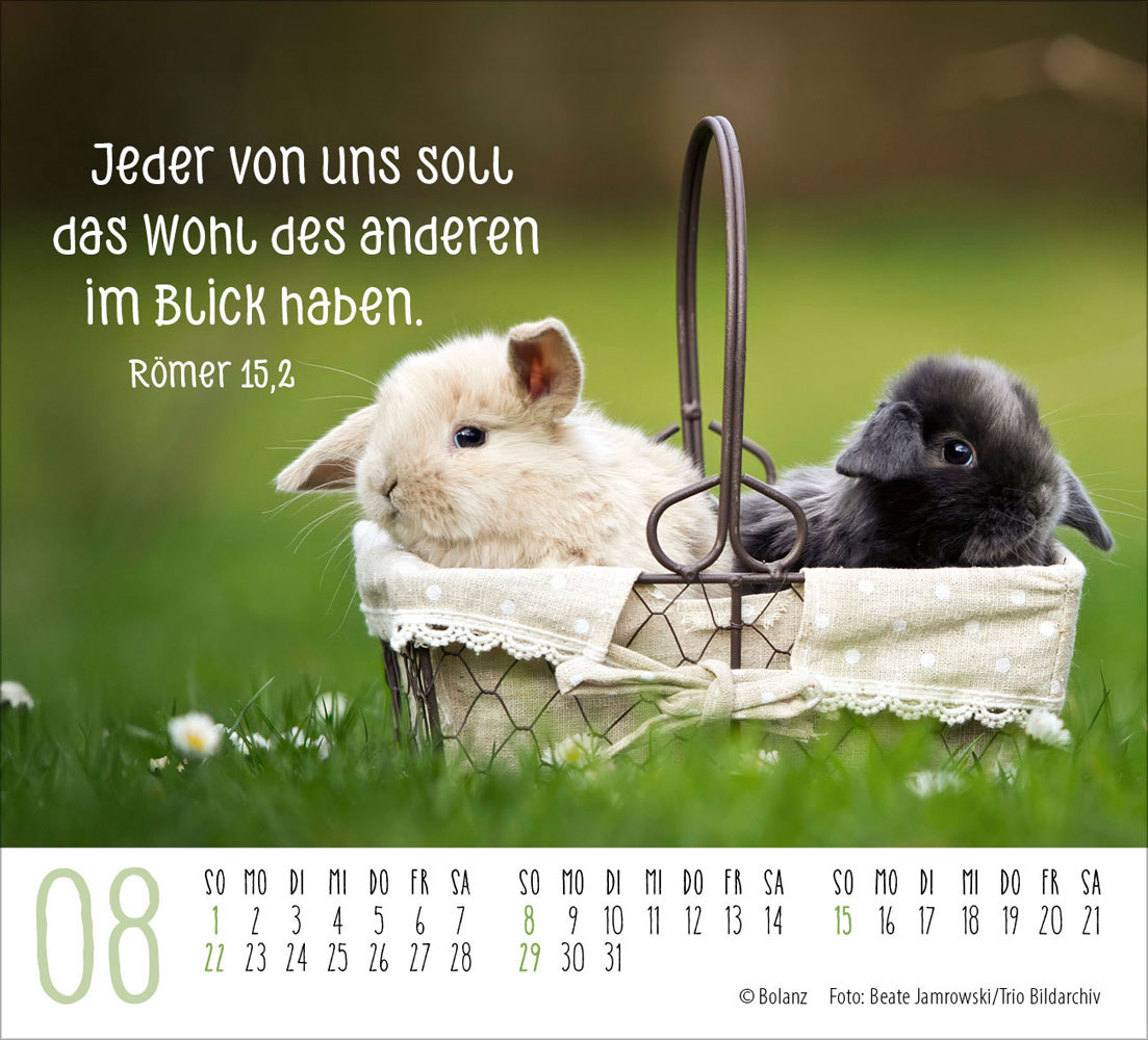 Begegnungen 2027 - Minikalender