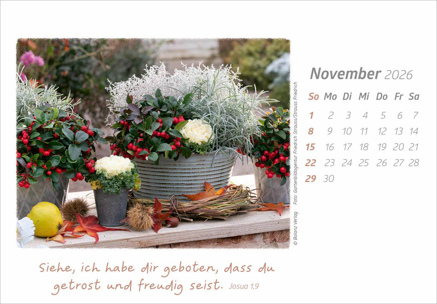 Die Güte Gottes preisen 2026 - Aufstellkalender Die Güte Gottes preisen 2026 - Aufstellkalender