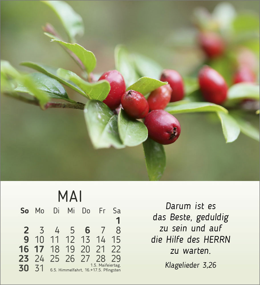 Stille Begegnungen 2027