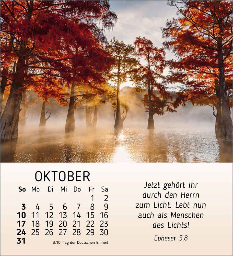 Schönheit des Lichts 2027
