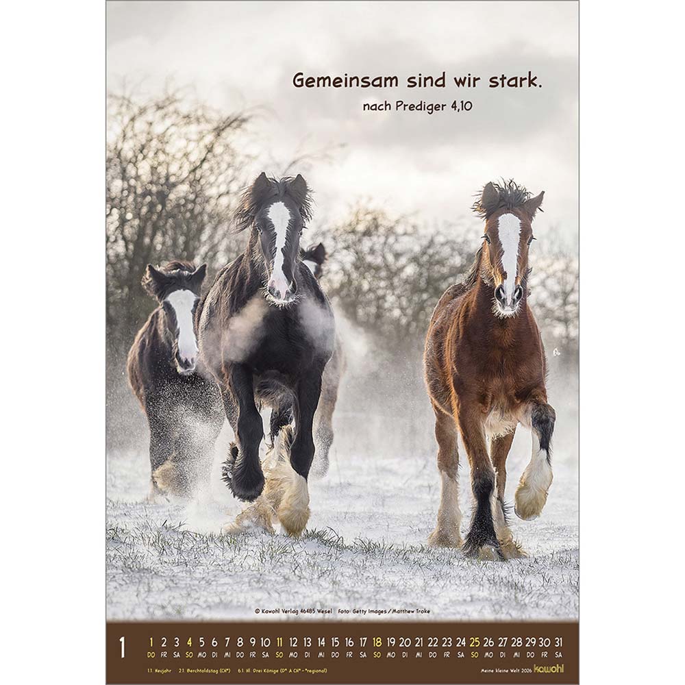 Meine kleine Welt 2026 - Wandkalender