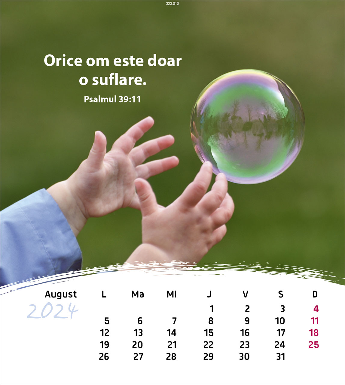 Leben für Dich 2024 - Postkartenkalender Leben für Dich 2024 - Postkartenkalender