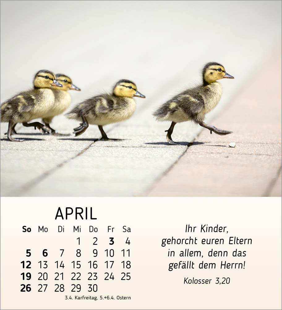 Meine kleinen Freunde 2026