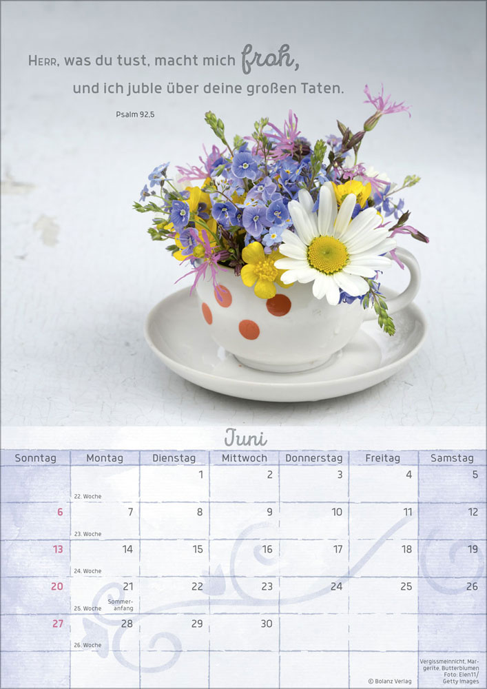 Momente der Freude 2027 - Wandkalender