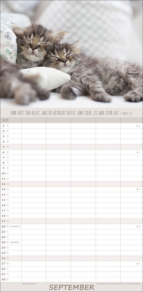 Familienplaner Katzen - 2027
