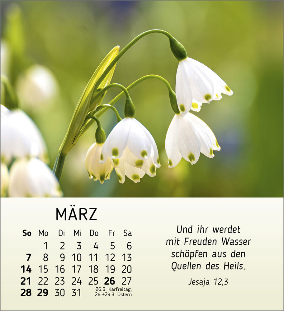 Ich wünsch Dir Freude 2027