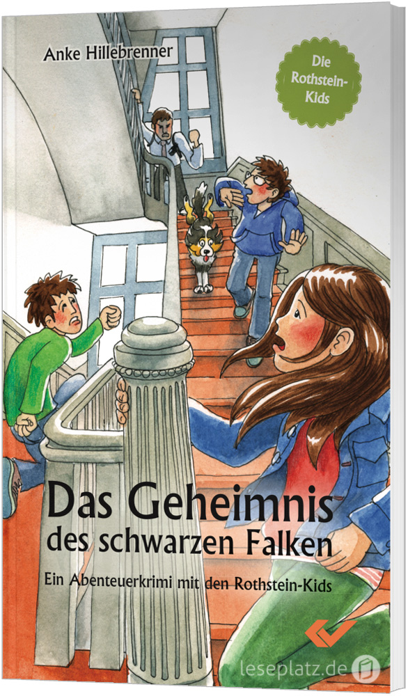 Das Geheimnis des schwarzen Falken (3)