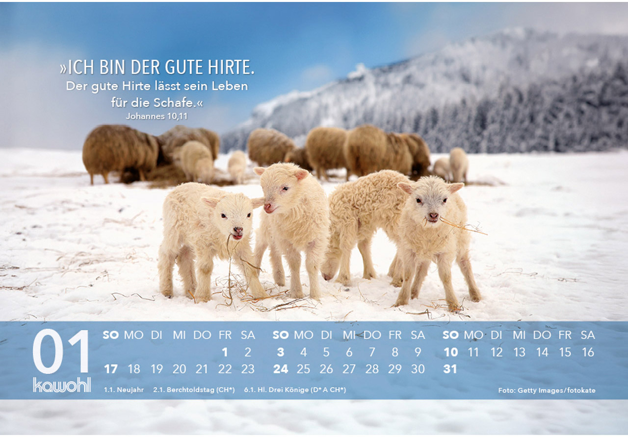 Jesus Zitate 2027 - Aufstellkalender