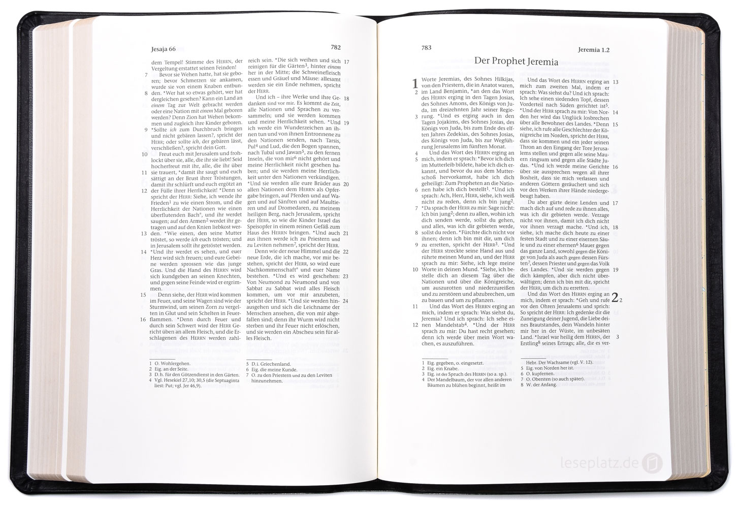 Elberfelder 2003 - gr.Schreibrandausgabe / Rindleder Goldschnitt